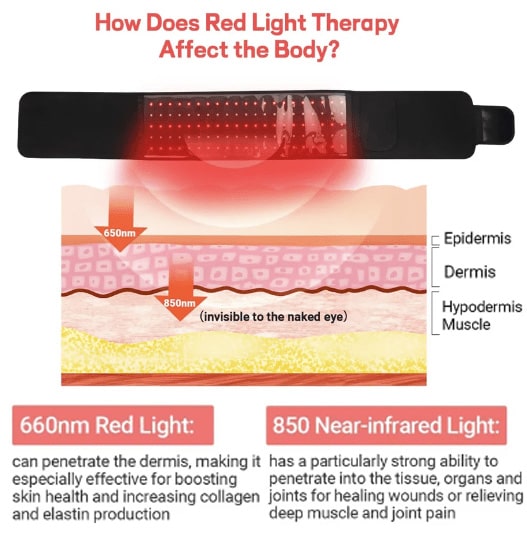 LumiTrim Red Light Belt